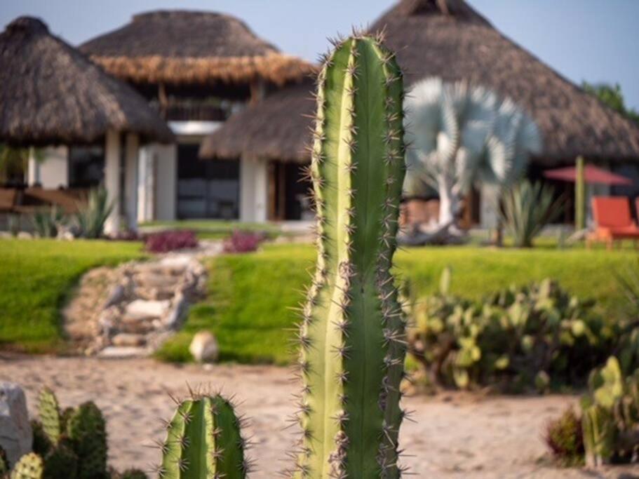 Villa De Las Rocas Puerto Escondido  Exterior foto
